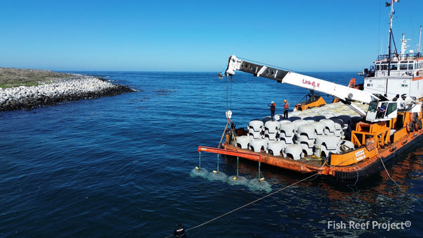 Sea Cave® True Blue Carbon® Project